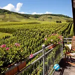 Ferienweingut Pies Ellenz-Poltersdorf