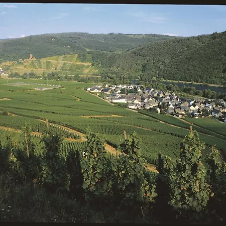 Ferienweingut Pies