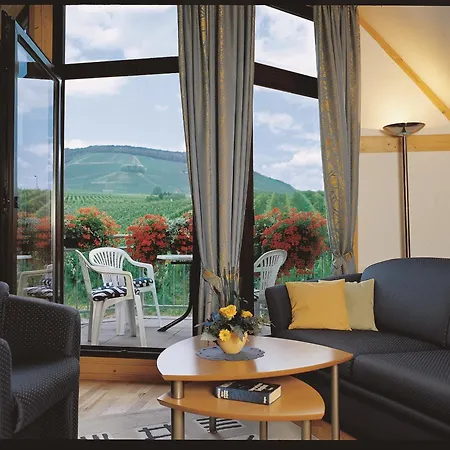 埃伦茨-波特斯多夫皮耶斯酒庄度假酒店 *