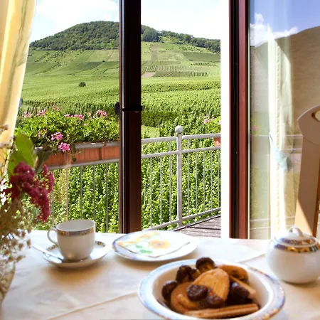 埃伦茨-波特斯多夫皮耶斯酒庄度假酒店 *