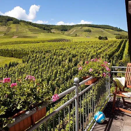 Ferienweingut Pies Ellenz-Poltersdorf
