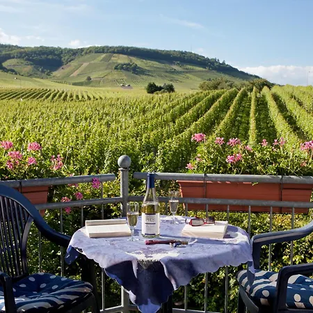 公寓 埃伦茨-波特斯多夫皮耶斯酒庄度假酒店 埃伦波特道夫