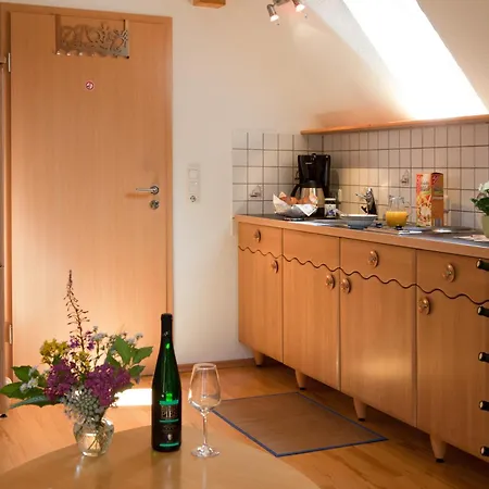 埃伦茨-波特斯多夫皮耶斯酒庄度假酒店 *