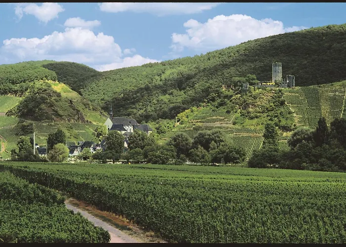 Apartment Ferienweingut Pies