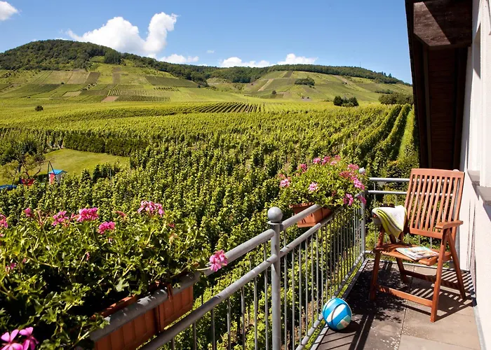 Ferienweingut Pies Ellenz-Poltersdorf